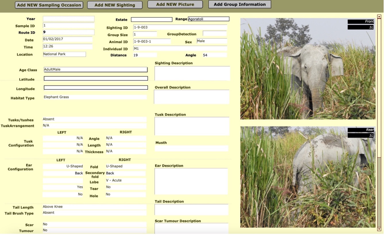 Elephant Database Software A journey of conservation: Preserving elephants with FileMaker technology